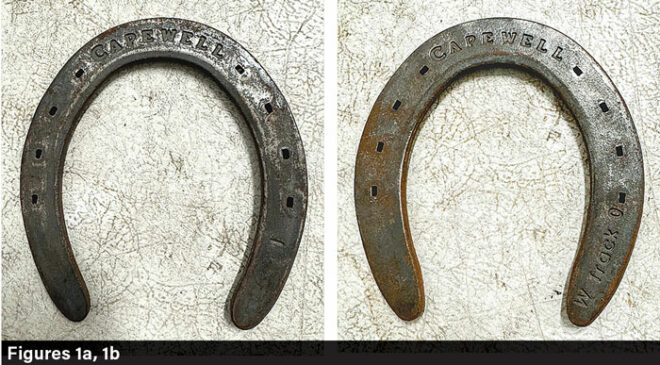 The Evolution of Horseshoes & Tools in 1 Farrier’s Career