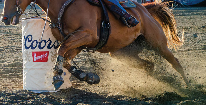 Preventing And Managing Equine Stifle Injuries