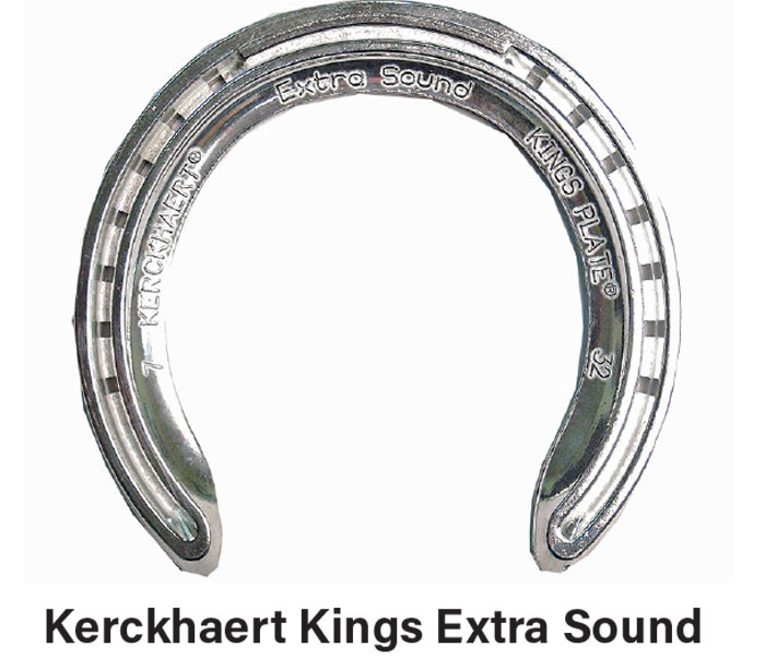 Horseshoes for Racehorses