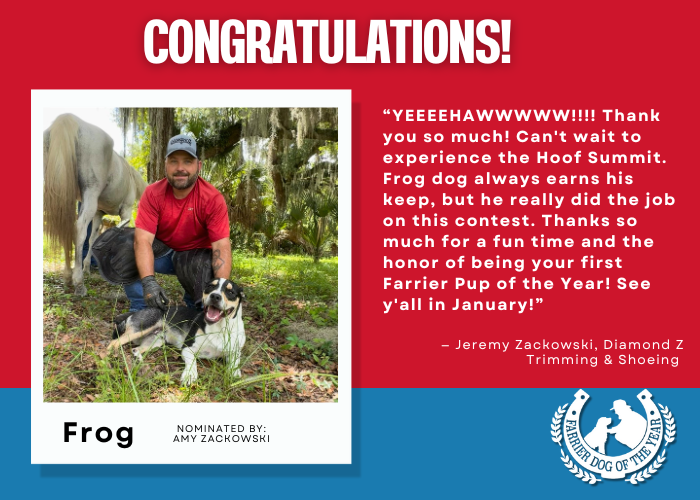 The Winner of the 2024 Farrier Dog of the Year Contest!