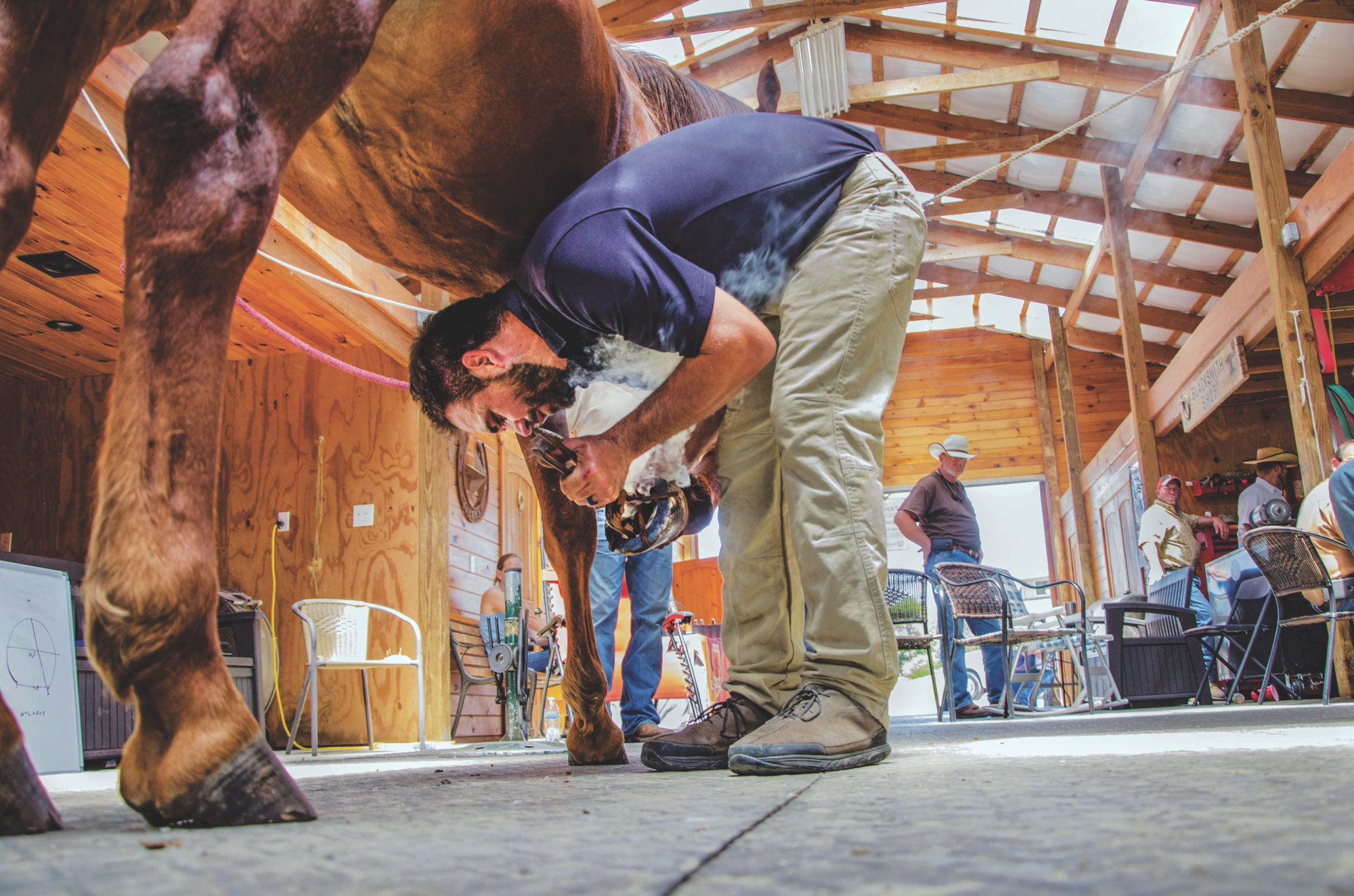 Farrier Tips What’s More Important, Static Or Dynamic Balance