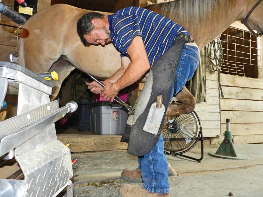 What Is A Farrier