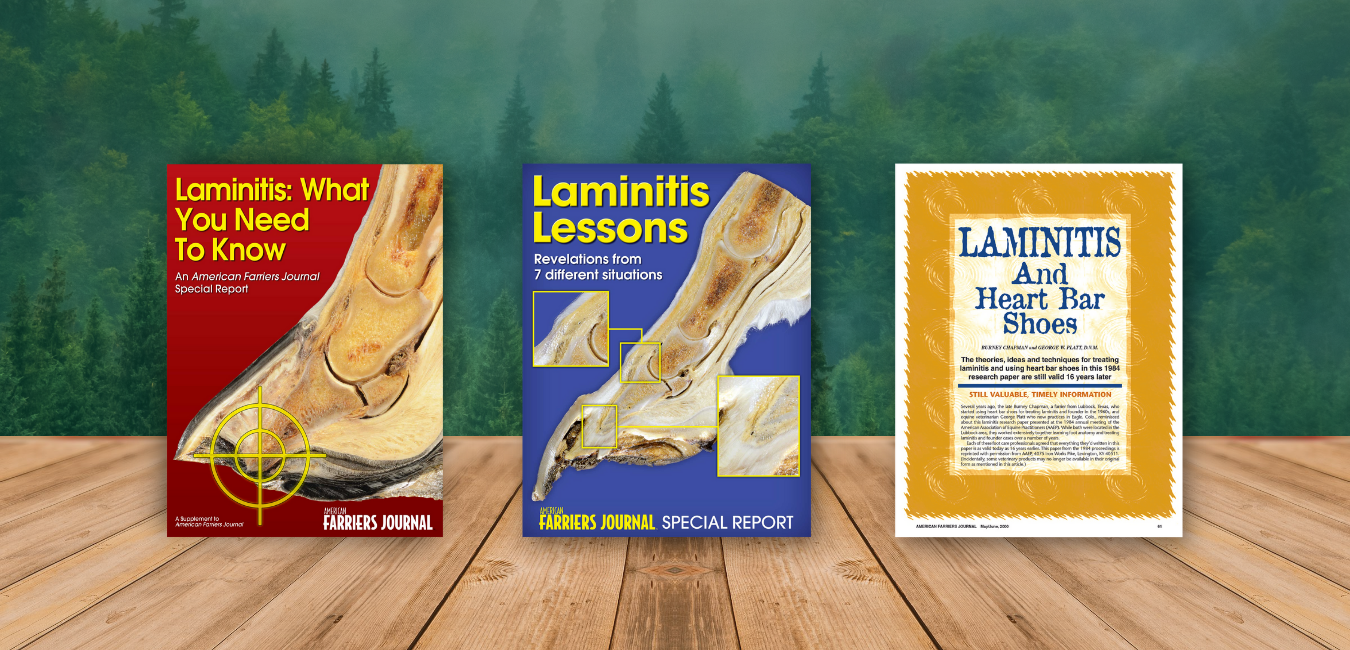 AFJ BOGO Everything You Need to Know About Laminitis Web.png