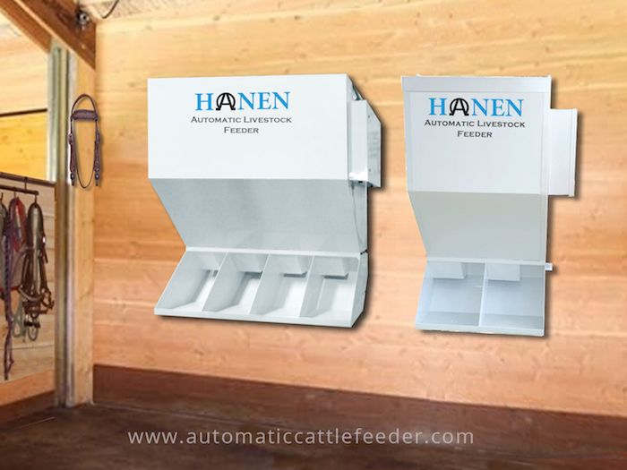 Automatic cattle hotsell feeders for sale